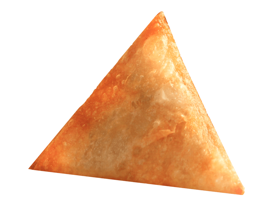 Switz Samosa